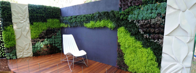 The Advantages Of A Green Wall