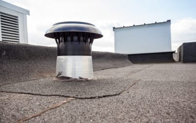 How Skylights Nsw Can Enhance Natural Light in Australian Homes All Year Round